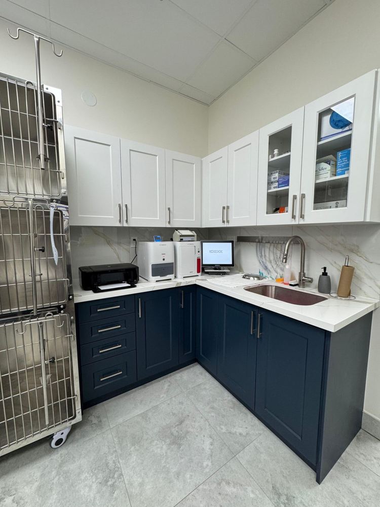 In-house laboratory corner with IDEXX blood analyzers