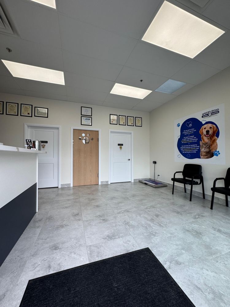 Lobby with the reception desk, exam room doors and waiting chairs