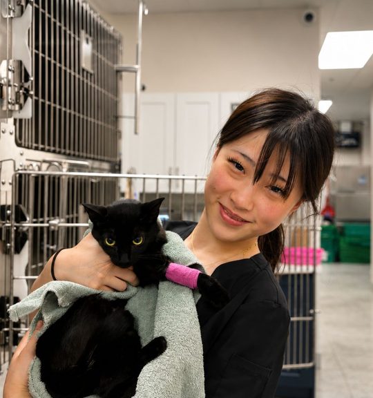 Lily Xu, aspiring vet, holding a black cat with a bandaged leg