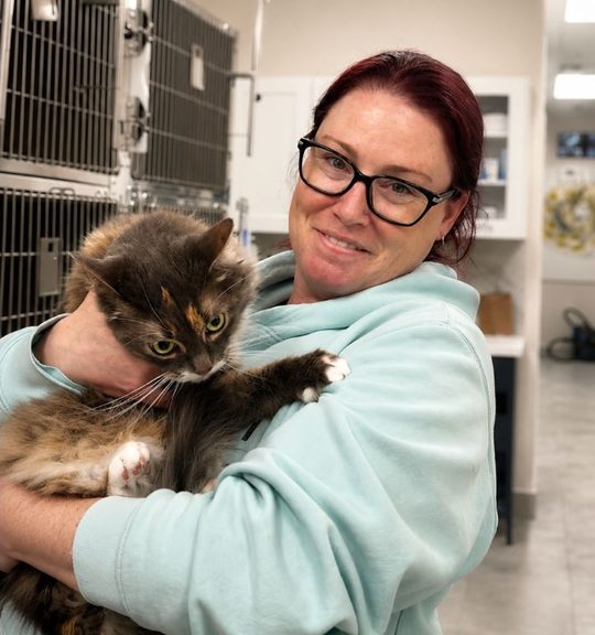 Sarah Love, hospital manager, holding a long-haired cat in the treatment area